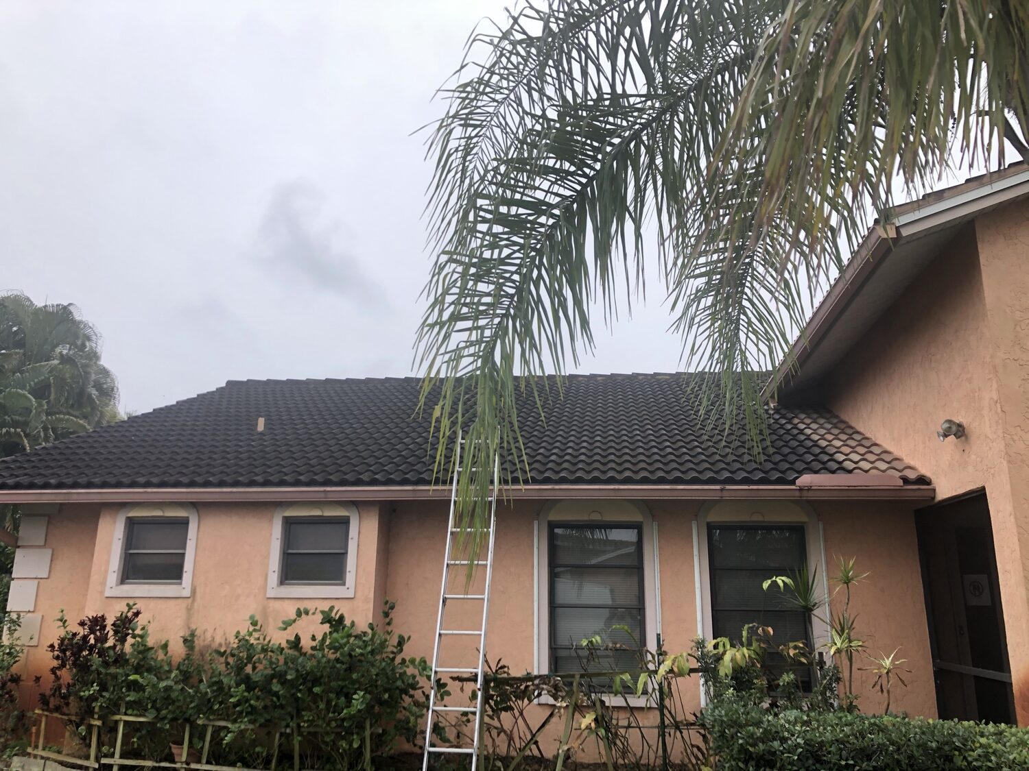 Residential exterior and house washing