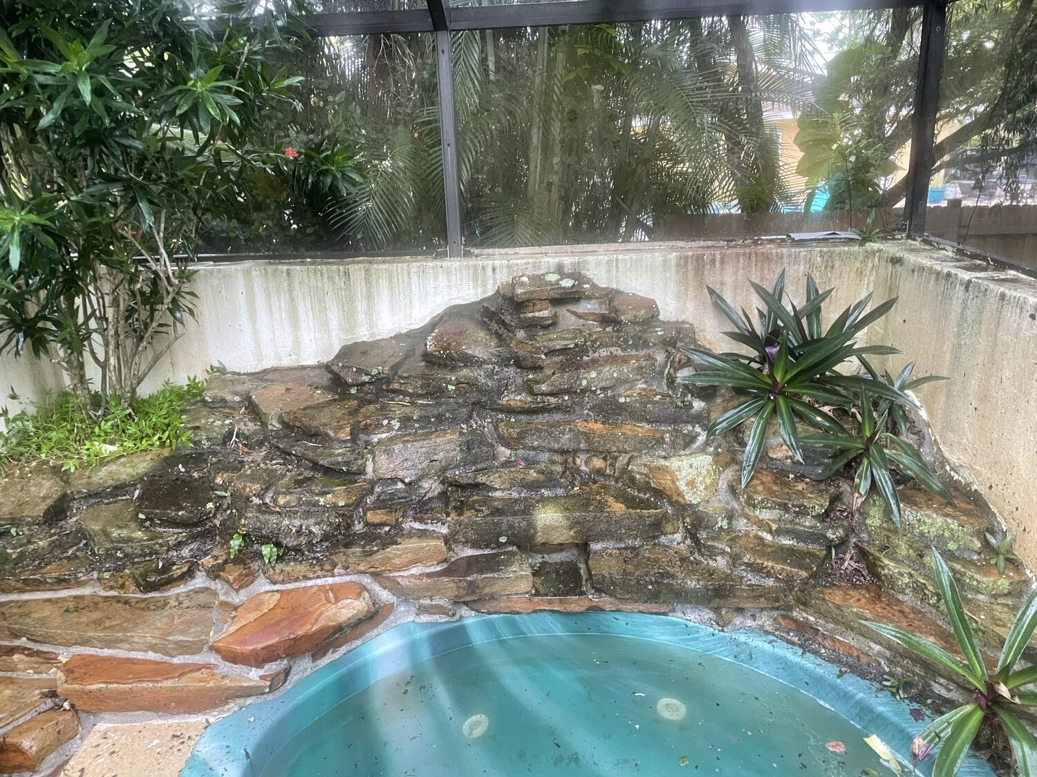 A stone pool deck before cleaning — mossy and stained