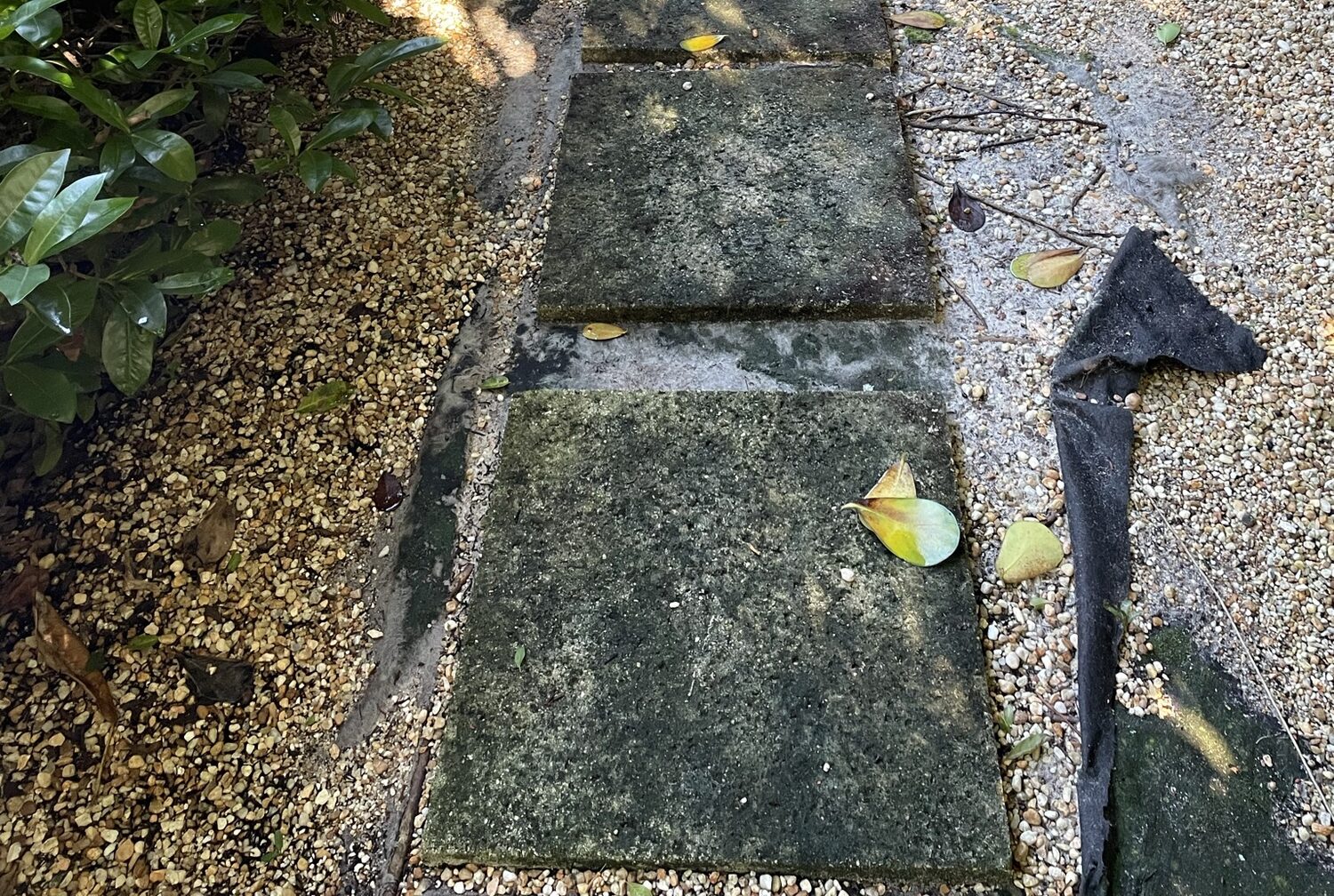 A moss-covered stone garden walkway before cleaning
