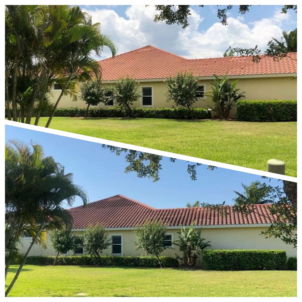 A tile roof cleaned and sealed — before and after